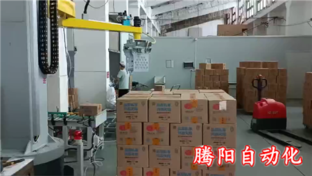 立柱碼垛機箱裝產品自動化碼垛