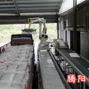 全自動(dòng)裝車機(jī)械手實(shí)現(xiàn)志能化無人化全自動(dòng)的裝車工作