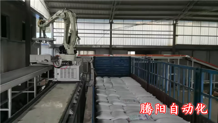全自動(dòng)裝車機(jī)械手為生產(chǎn)加工型企業(yè)提供志能化裝車解決方案