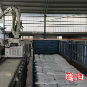全自動裝車機械手為生產加工型企業提供志能化裝車解決方案