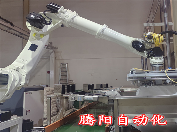 PAC拆包投料機器人